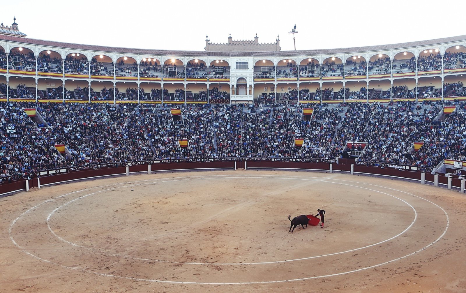 Marco Peláez, listo para la Final del Certamen 'Camino hacia Las Ventas'