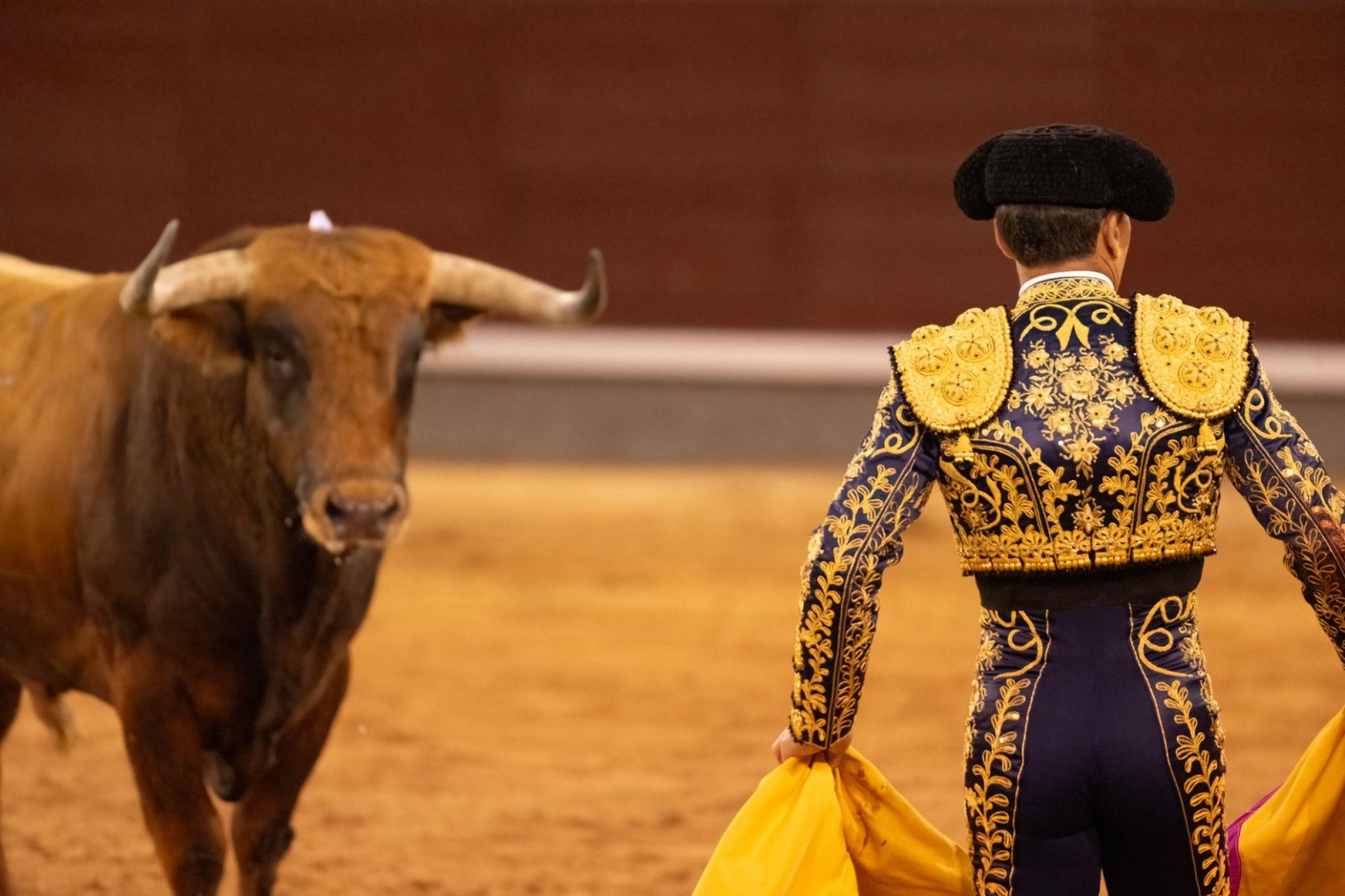 Joaquín Manzur se prepara para su debut en Las Ventas tras superar una cornada