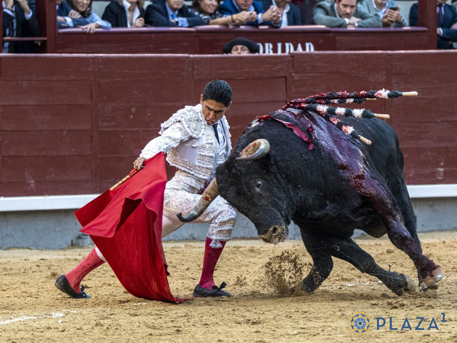 Héctor Gutiérrez destaca en Madrid con gran actuación y estocada