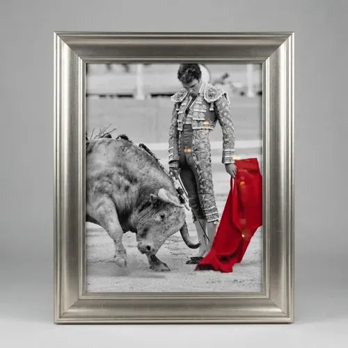 Fotografía Torero Taurina Jose Tomas Tauromaquia
